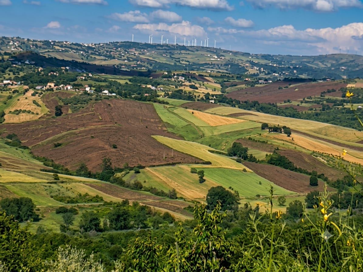 Hills and cultivated fields in the Irpinia landscape